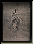 Paul Wunderlich:  Ananas fossilise  Lithographie signe